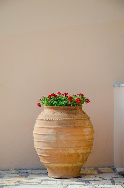 Jasmine * Sidari (Corfu)